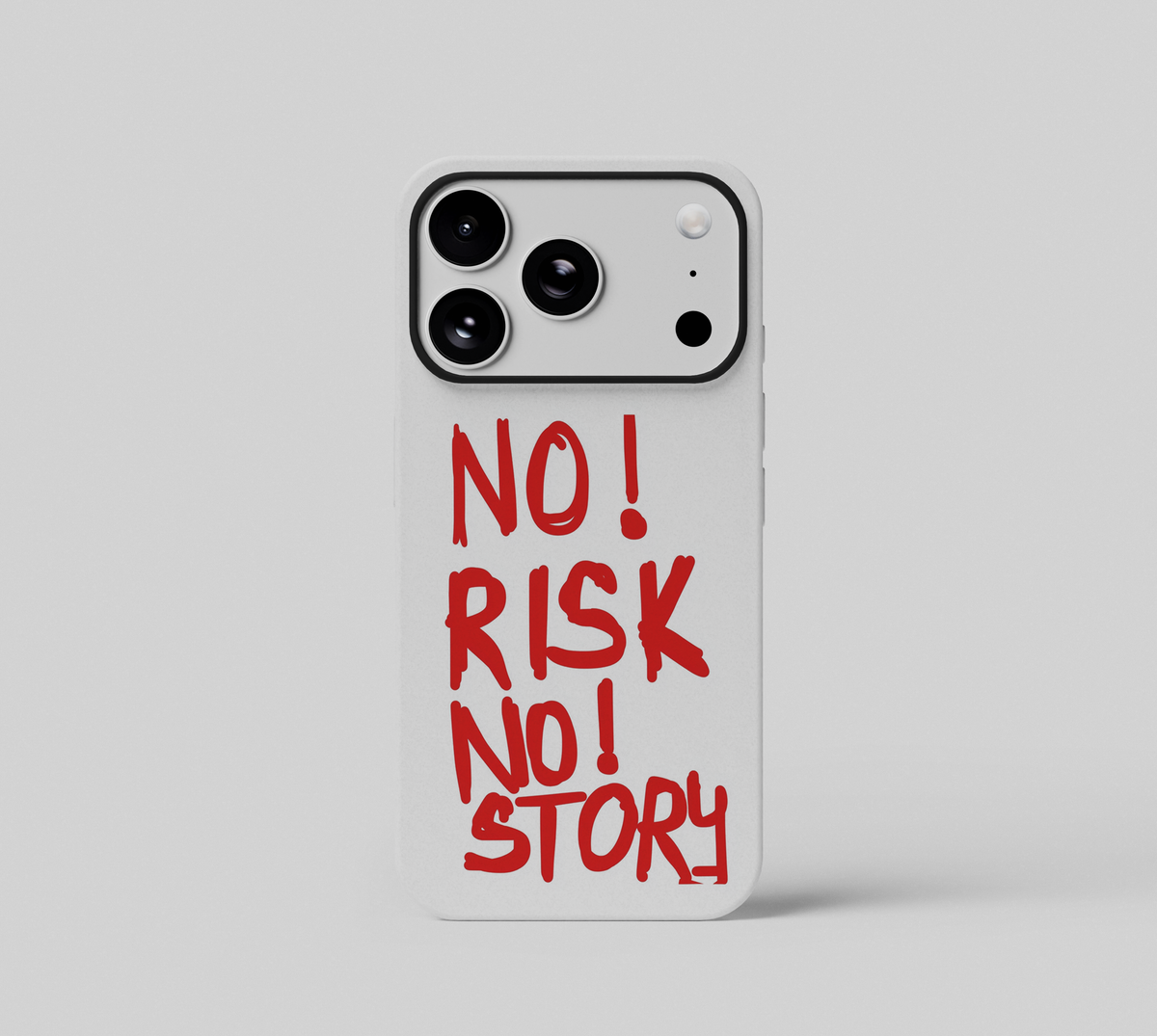 No Risk No Story
